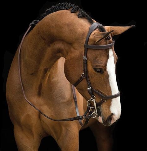 Спортивная анатомическая уздечка Rambo Micklem Competition | Horse-Rehab.Ru