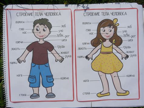 Набор доктора своими руками — 3 ответов | форум Babyblog
