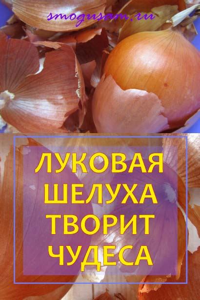 Как и почему применяют луковую шелуху в народной медицине