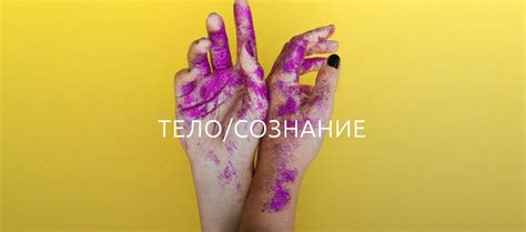 Тело/Сознание