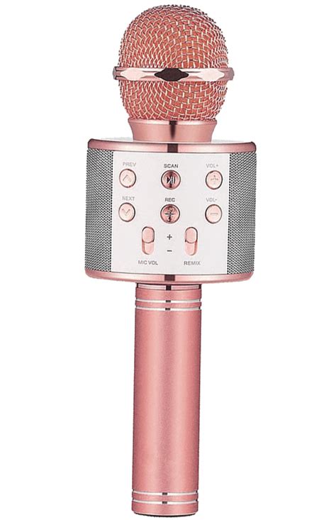 how to connect karaoke microphone to bluetooth speaker
