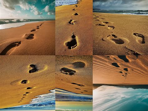 Footprint – Planeta.com