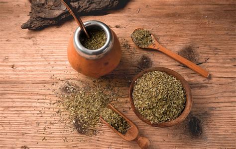 Tutto sul MATE: origine, preparazione e proprietà da conoscere ...