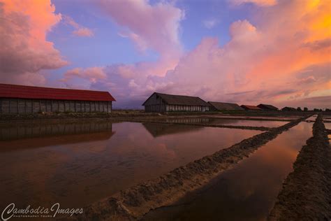 Kampot salt fields sunset | Cambodia Images