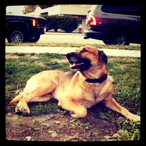 jerry gray atbozarts twitter