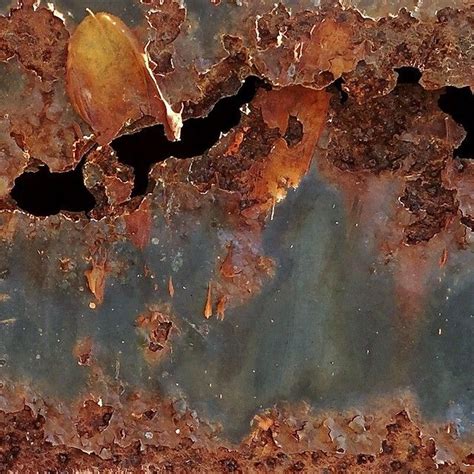 leaf rust artofit