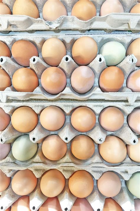 Farm Fresh Eggs | Farm fresh eggs, Small farm, Farm fresh