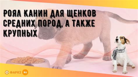 Роял Канин для щенков средних пород, а также крупных - YouTube