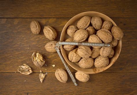 Nut - Carpathian English Walnut Tree | Ison's Nursery & Vineyard