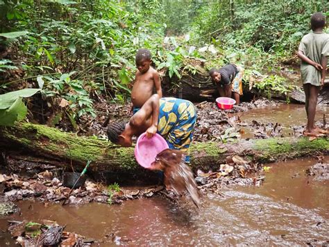 Baaka Pygmies, forest inhabitants of Central Africa - 4/4