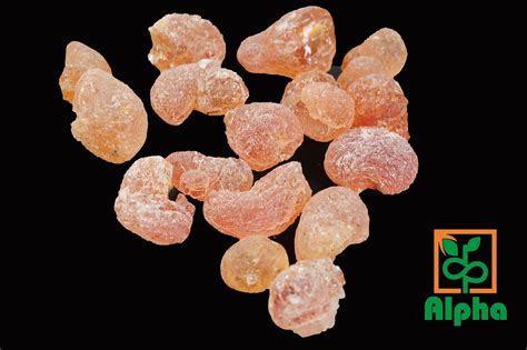 GUM Arabic | Alpha Agricultural Processing Co. LTD