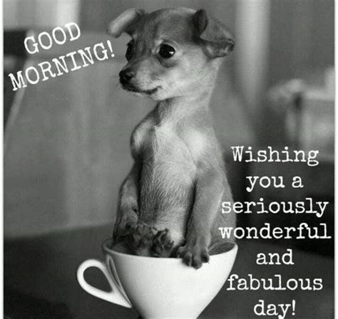 65 Funny Good Morning Quotes With Images | SliControl.Com