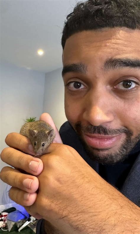 niko omilana beta beta beta squad