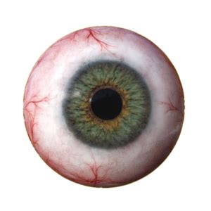 real eye png