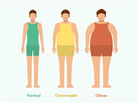 human body types chart vrogueco