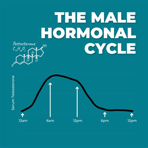 Do Men Have Hormonal Cycles? A Month-Long Study Explained | PureHealth