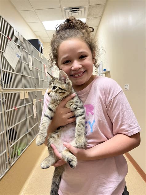 Saratoga County Animal... - Saratoga County Animal Shelter