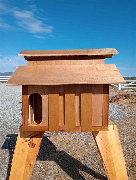 Barn Owl Boxes – Rodent Control… the NATURAL Way