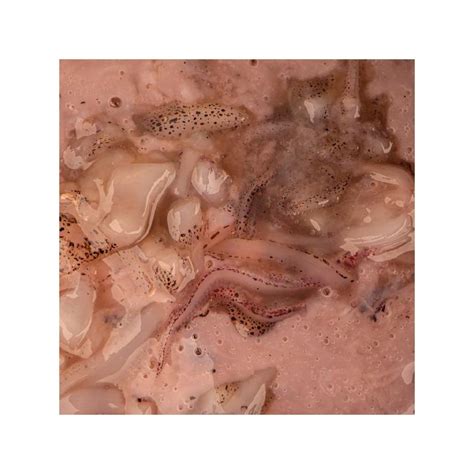 atrayente liquido natural nashbait salted squid