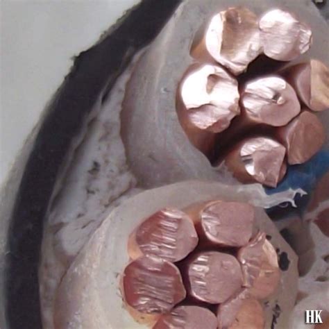 Купить Кабель От паруса силовой кабель 2-жильный 16 кв. 220V ...