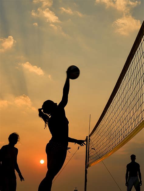 Sport Activities - Pinebay.com