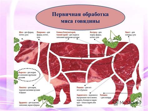 Презентация на тему: "« Подготовка и приготовление полуфабрикатов из ...