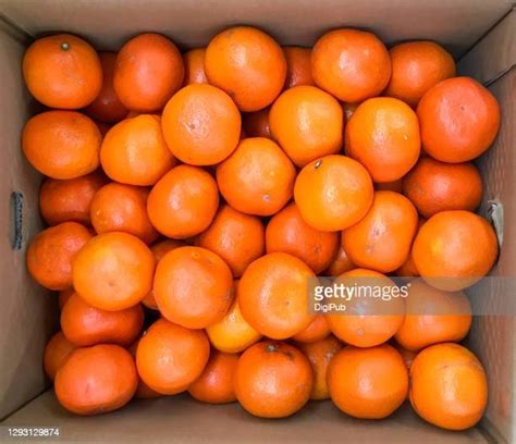 Satsuma Tangerine Photos and Premium High Res Pictures - Getty Images