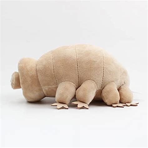 earth's Strongest Creature Water Bear Stuffed Doll 25cm - Walmart.com