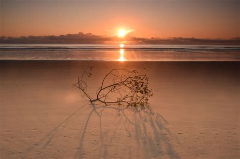 St Cyrus beach at sunrise | Sunrise pictures, Sunrise, Beach