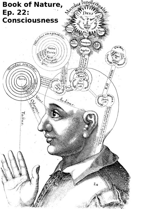 Book of nature, ep. 22: consciousness