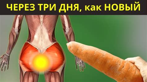 Кристально Чистый Кишечник за Три дня. Самый лучший способ очистить ...