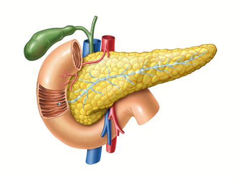Páncreas - Mejor con Salud