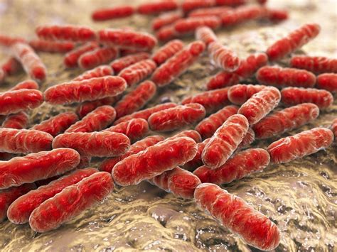 Uroinfekcije - prevencija i liječenje | oktal-pharma.hr