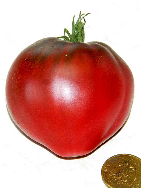Томат Сердце пурпурное (Dwarf Purple Heart)