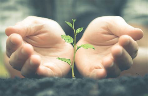 L'impronta ecologica: definizione, calcolo e come ridurla