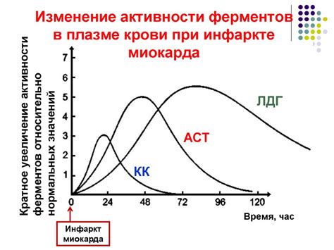 Ферменты-3 - презентация онлайн