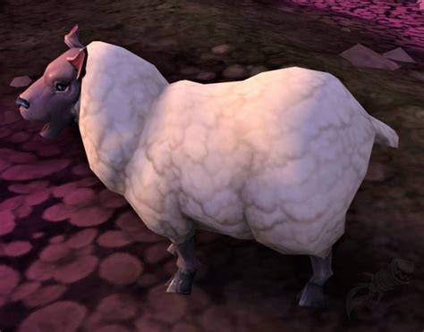 Ninito - PNJ - World of Warcraft
