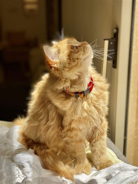 1374 best Summer Sun images on Pholder | Freckled Girls, Aww and Earth Porn