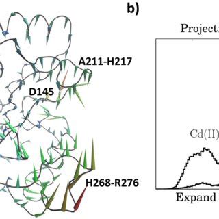 average structure  hung  md simulations  cdii ions