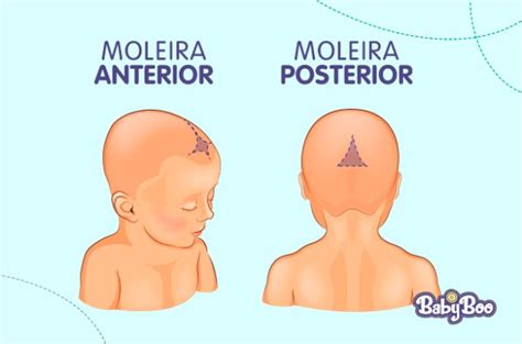 Moleira Do Bebê Alta - Moleira do bebê - quais cuidados devemos ter? e quando ela fecha?