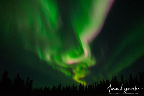 tours - Fairbanks Aurora Tours - Northern Lights Tours in Alaska