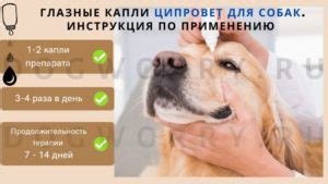 Ципровет для собак: глазные капли, таблетки, инструкция по применению ...