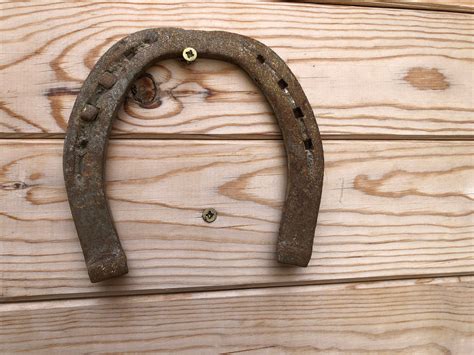 Vintage Horseshoe Graphic