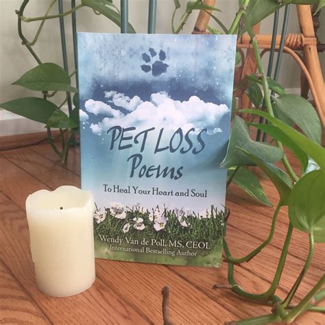 Comforting words for loss of pet can help heal your heart 1