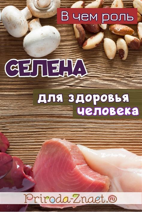 Селен: для чего нужен организму, в каких продуктах вещество содержится ...