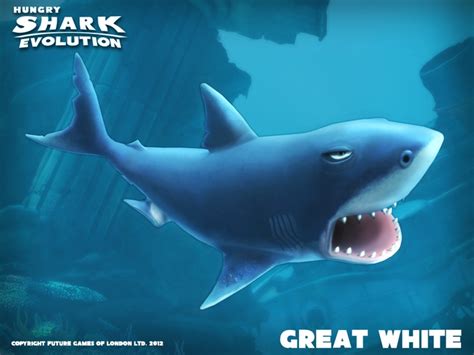 The Great White Shark | Sharks of hungry shark evolution Wikia | FANDOM ...