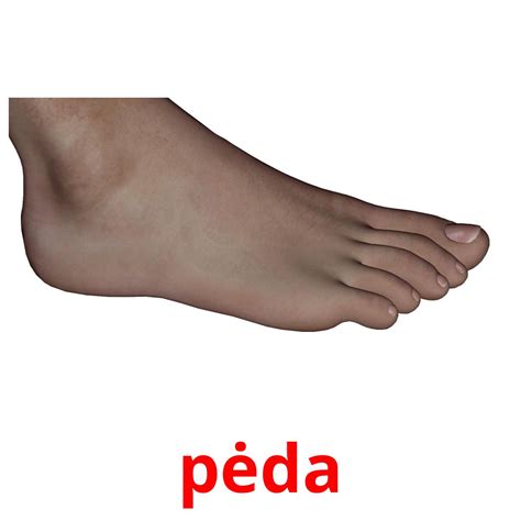 26 FREE Body Parts Flashcards in 4 PDF formats | Lithuanian Pictures