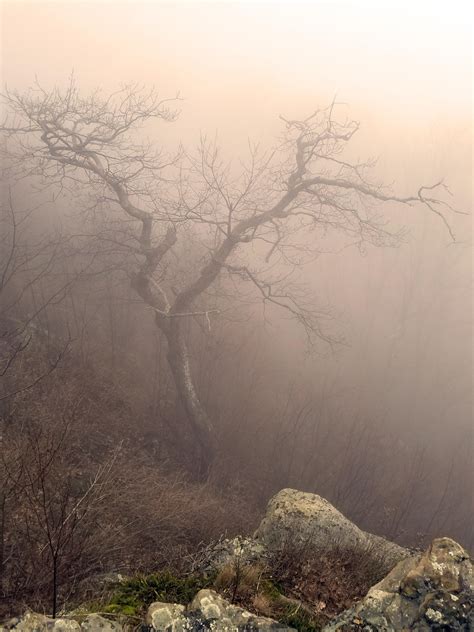 map of skyline drive shenandoah national park 3