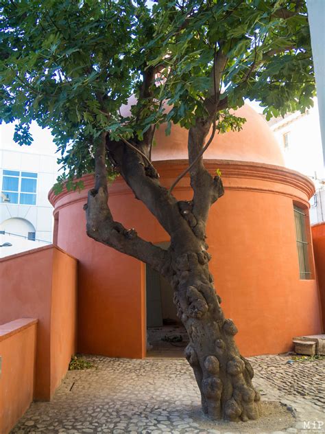 Université De Perpignan 9