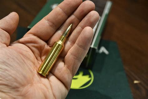 Kaliber .270 WSM: Die kurze Magnumpatrone | PIRSCH